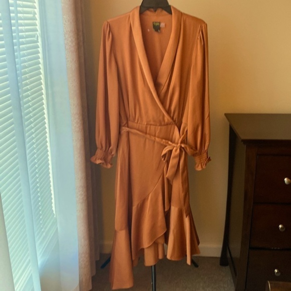 Rust Dress 16